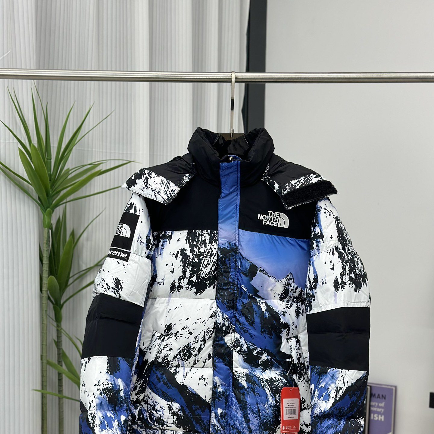 The North Face down jacket