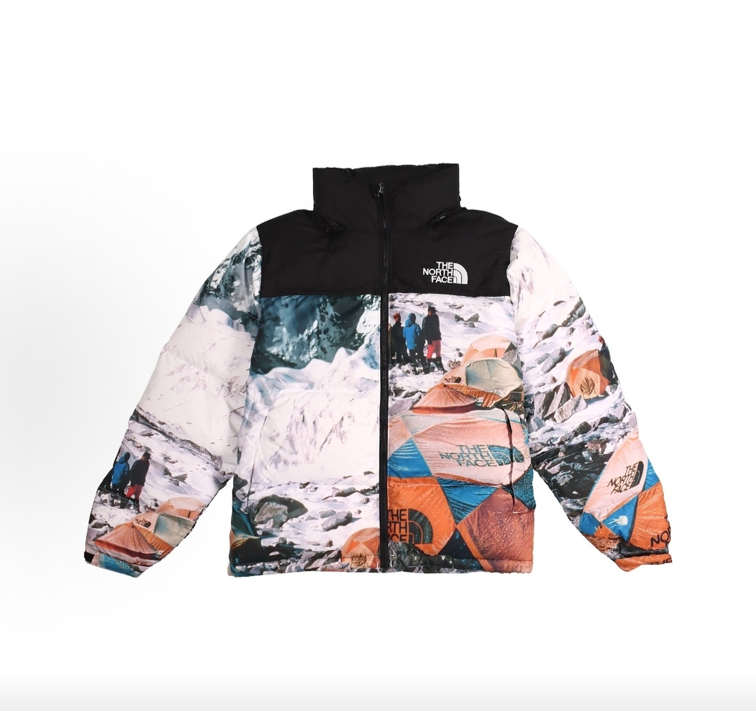 The North Face down jacket